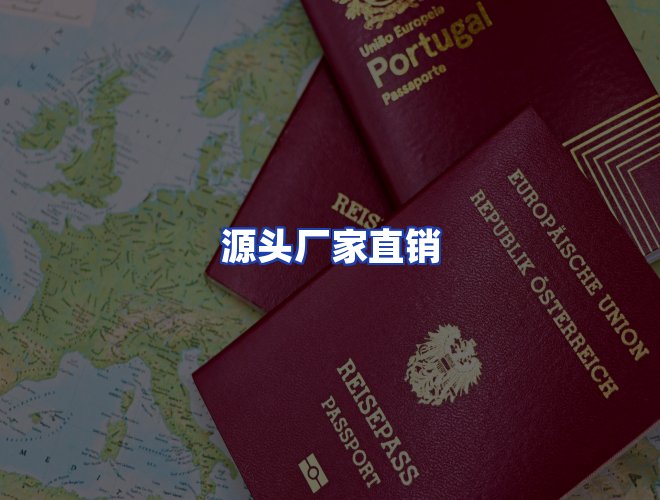 专业团队